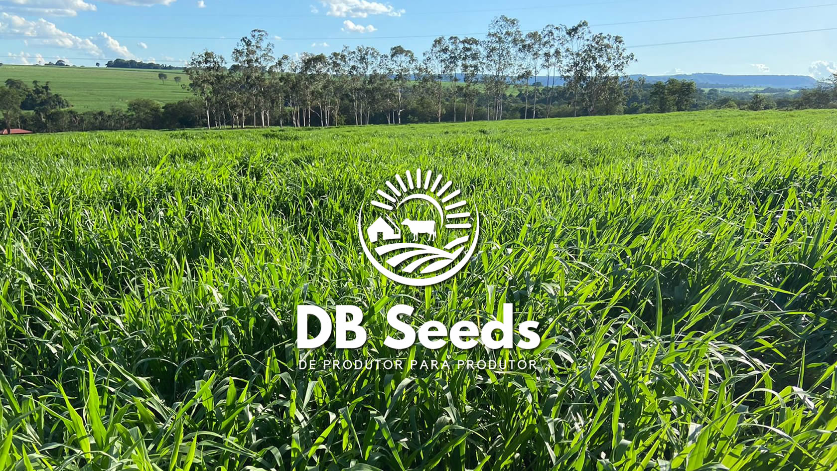 DB Seeds