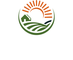 DB Seeds