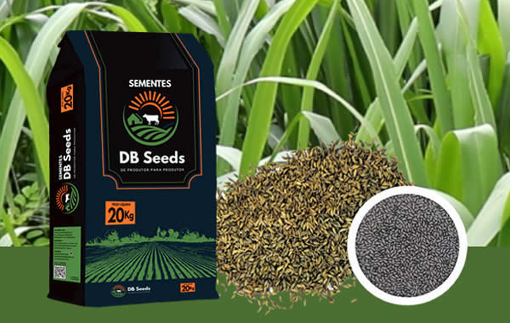 DB Seeds