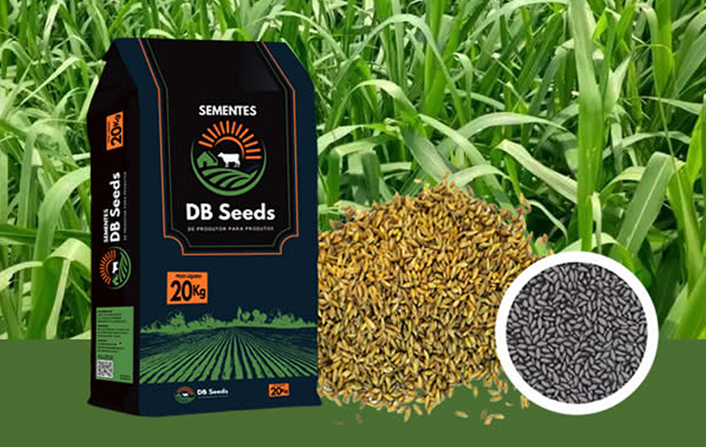 DB Seeds